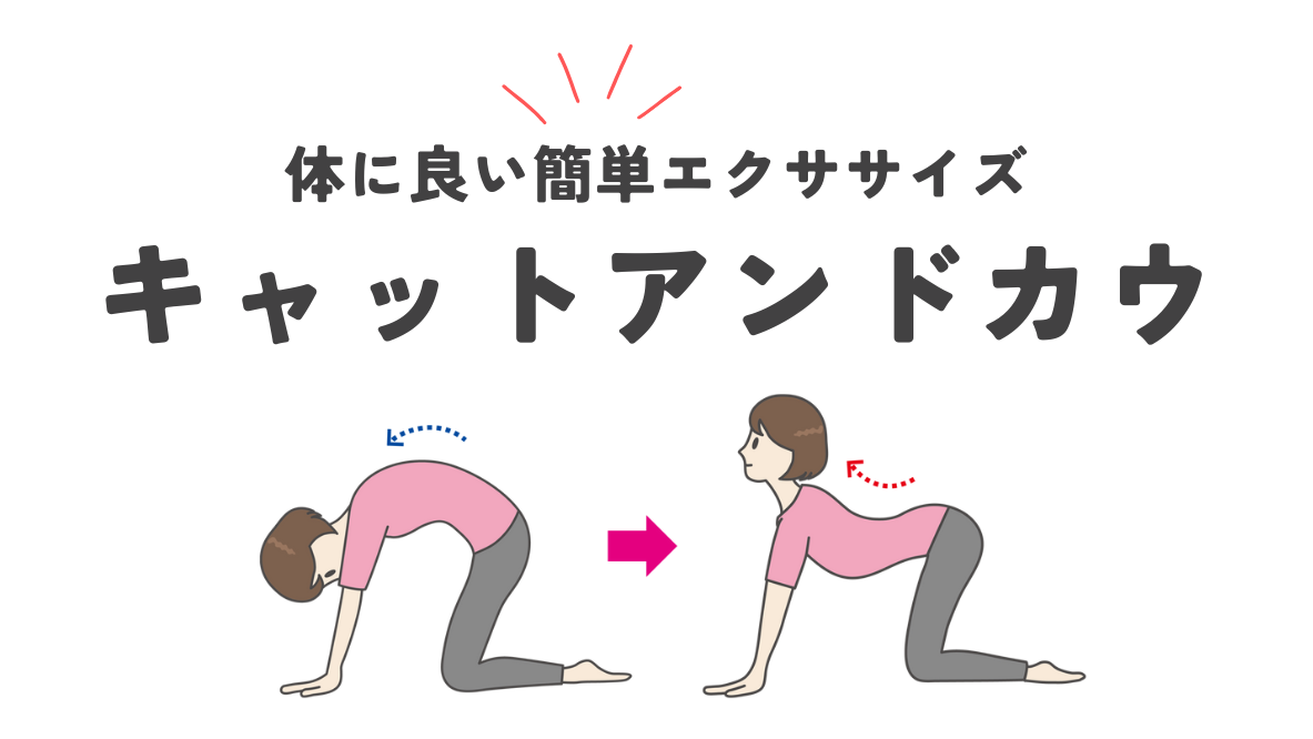 ファミリーカイロプラクティック三鷹院