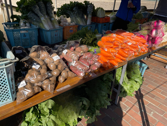 フレッシュサラダ大作戦