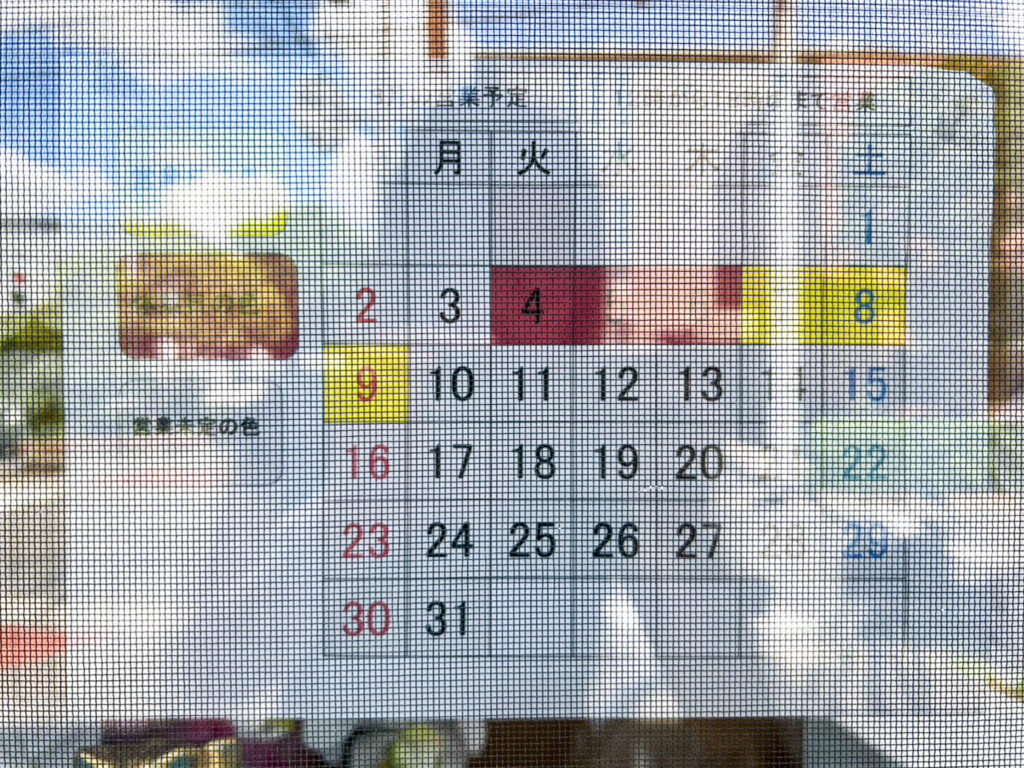 アオイのタイ弁当